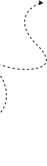 Forme décorative de la section héros